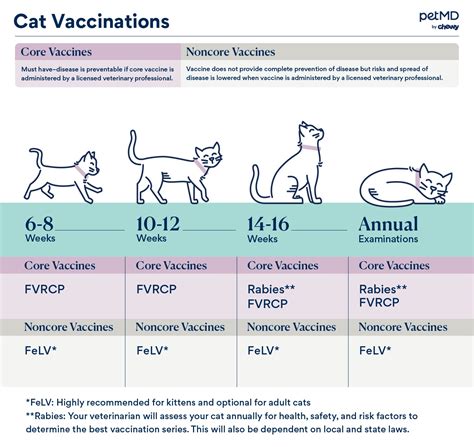 avma feline vaccine guidelines